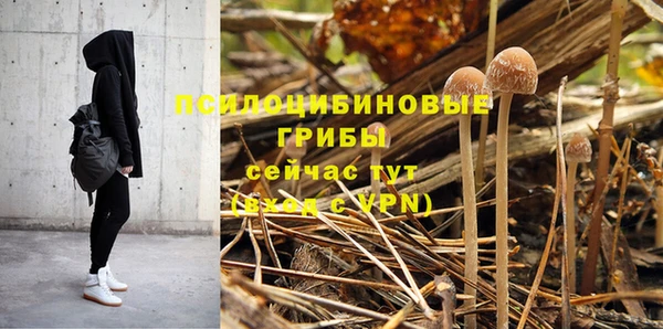 скорость Белокуриха