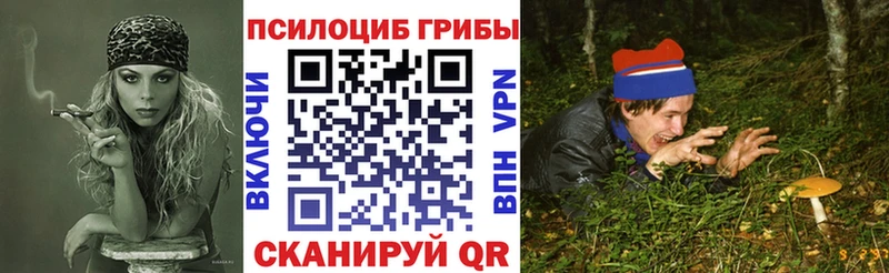где продают   Ижевск  Псилоцибиновые грибы Magic Shrooms 