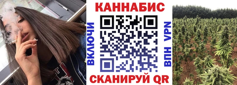 купить цена Ижевск Канабис SATIVA & INDICA